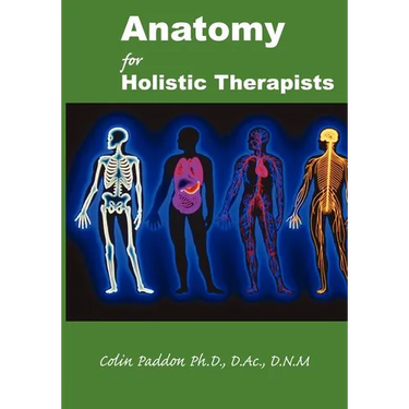 Anatomy For Holistic Therapists