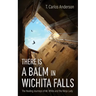 There Is a Balm in Wichita Falls