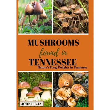 Mushrooms Found in Tennessee: Nature's Fungi Delights in Tennessee