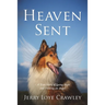 Heaven Sent: A True Story of Losing Hope and Finding an Angel