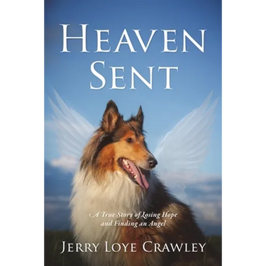 Heaven Sent: A True Story of Losing Hope and Finding an Angel