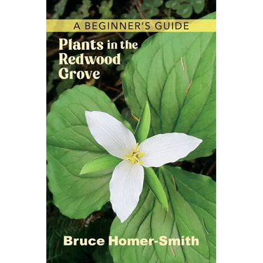 Plants in the Redwood Grove: A Beginner's Guide
