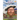 Who Was Henry VIII?