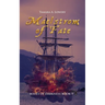 Maelstrom of Fate: Waves of Darkness Book 7