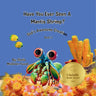 Have You Ever Seen A Mantis Shrimp?: God's Awesome Creation