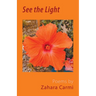 See the Light