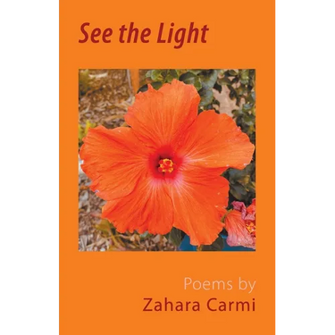 See the Light