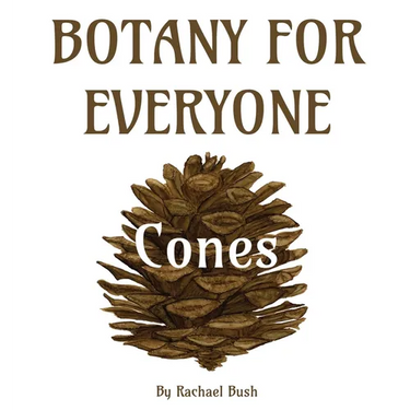 Botany for Everyone: Cones