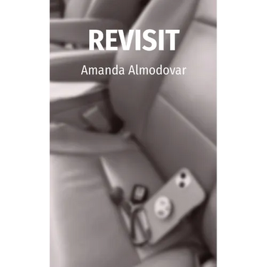 Revisit