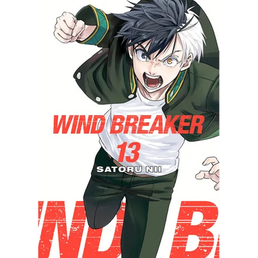 Wind Breaker 13