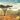 The Great Rift Valley Lakes: The Wildlife of Ethiopia in Somali and English