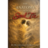 The Anatomy of a Soul Tie
