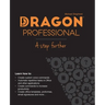 Dragon Professional - A Step Further: Automate virtually any task on your PC by voice
