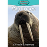 Walruses