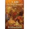 I Am the Soul's Heartbeat Volume 4: The Twelve Disciples in the Gospel of St John