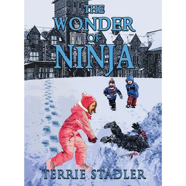 The Wonder of Ninja