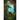 The Way of the Forgotten