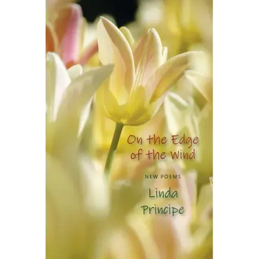On the Edge of the Wind