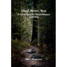 Good, Better, Best: A Guidebook for Performance Auditing