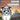Angry Snow Leopard: A Kids Book To Help Children Stay Calm, Fall Asleep Faster and Control Anger