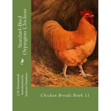 Standard-Bred Orpington Chickens: Chicken Breeds Book 11