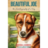 Beautiful Joe