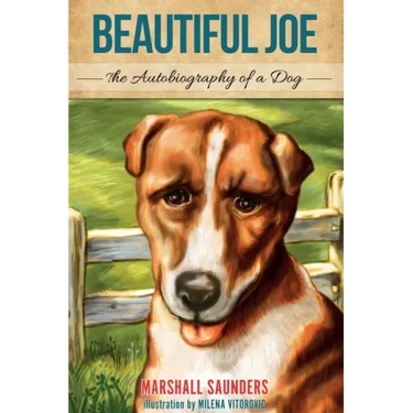 Beautiful Joe