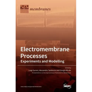 Electromembrane Processes: Experiments and Modelling