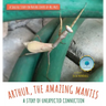 Arthur, The Amazing Mantis: A Story of Unexpected Connection