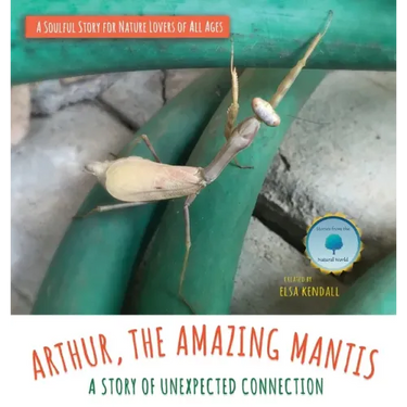 Arthur, The Amazing Mantis: A Story of Unexpected Connection