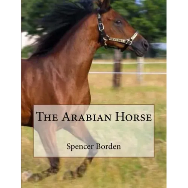 The Arabian Horse