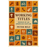 Working Titles: Memoir of an American Hustler