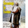 Gleanings in Exodus