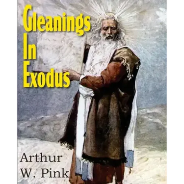 Gleanings in Exodus