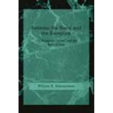 Between the Norm and the Exception: The Frankfurt School and the Rule of Law