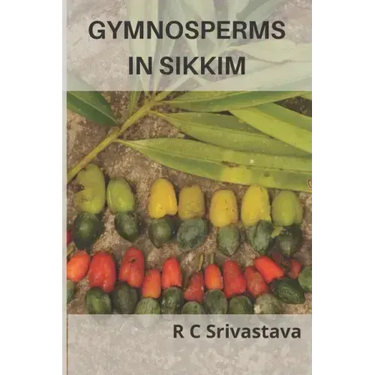 Gymnosperms in Sikkim
