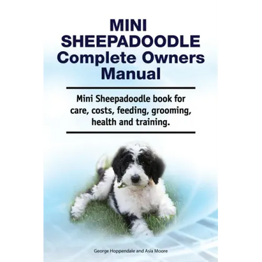 Mini Sheepadoodle Complete Owners Manual. Mini Sheepadoodle book for care, costs, feeding, grooming, health and training.