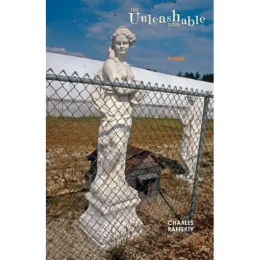 The Unleashable Dog