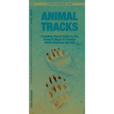 Animal Tracks: A Folding Pocket Guide to the Tracks & Signs of Familiar North American Species