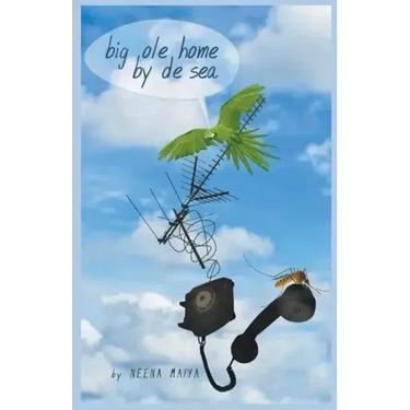 Big Ole Home By De Sea