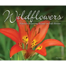 Wildflowers: Nature's Stunning Beauty on Display