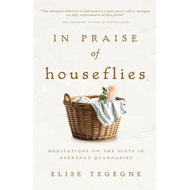 In Praise of Houseflies: Meditations on the Gifts in Everyday Quandaries