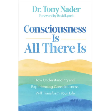 Consciousness Is All There Is: How Understanding and Experiencing Consciousness Will Transform Your Life