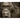 Face to Face: With the Great Apes