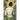 Symphony