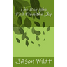 The Boy Who Fell From the Sky