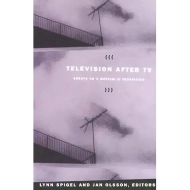 Television after TV: Essays on a Medium in Transition