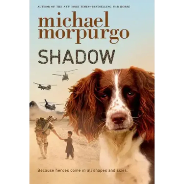 Shadow