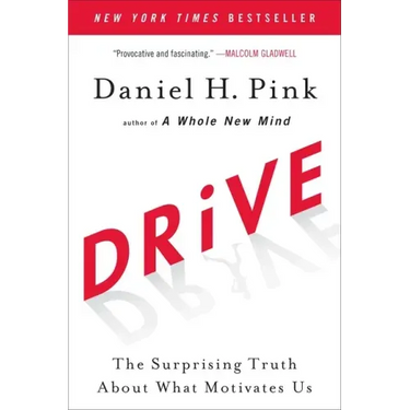 Drive: The Surprising Truth about What Motivates Us