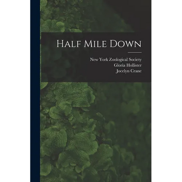 Half Mile Down